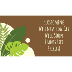 Blossoming Wellness: How Get Well Soon Plants Lift Spirits!